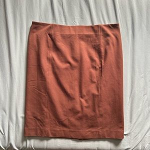 Brown Chic Pencil Skirt